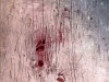 rolebildgross01_15x15