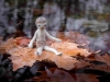 herbstblatt_bearbeitet-2_100kb
