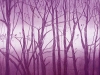 pfister_waldstrukturen_15x15_02