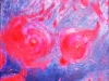 04_Detail_Feuerindenfeldern08_bearbeitet-1