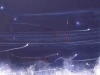 aut_0781