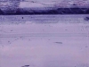 aut_0787