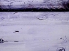 aut_0795