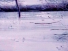 aut_0803